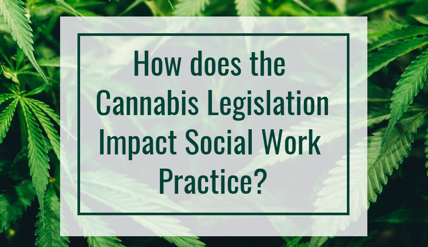 How does the Cannabis Legislation Impact Social Work Practice?