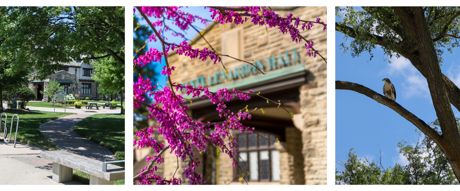 New certificate prepares students to tackle a major issue of our time: climate change